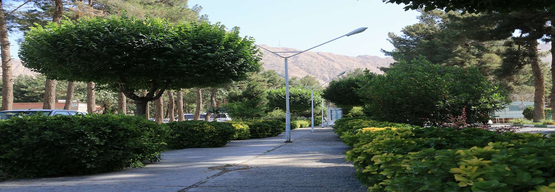 مرکز روانپزشکی رازی